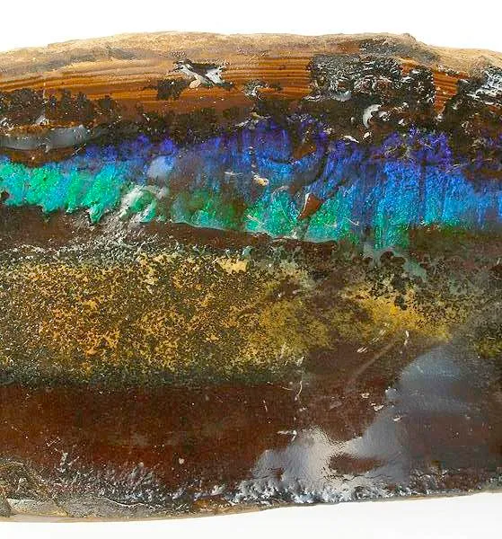 Precious Opal (Var: Boulder Opal) - image 2
