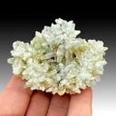 Prehnite (2162) - image 1
