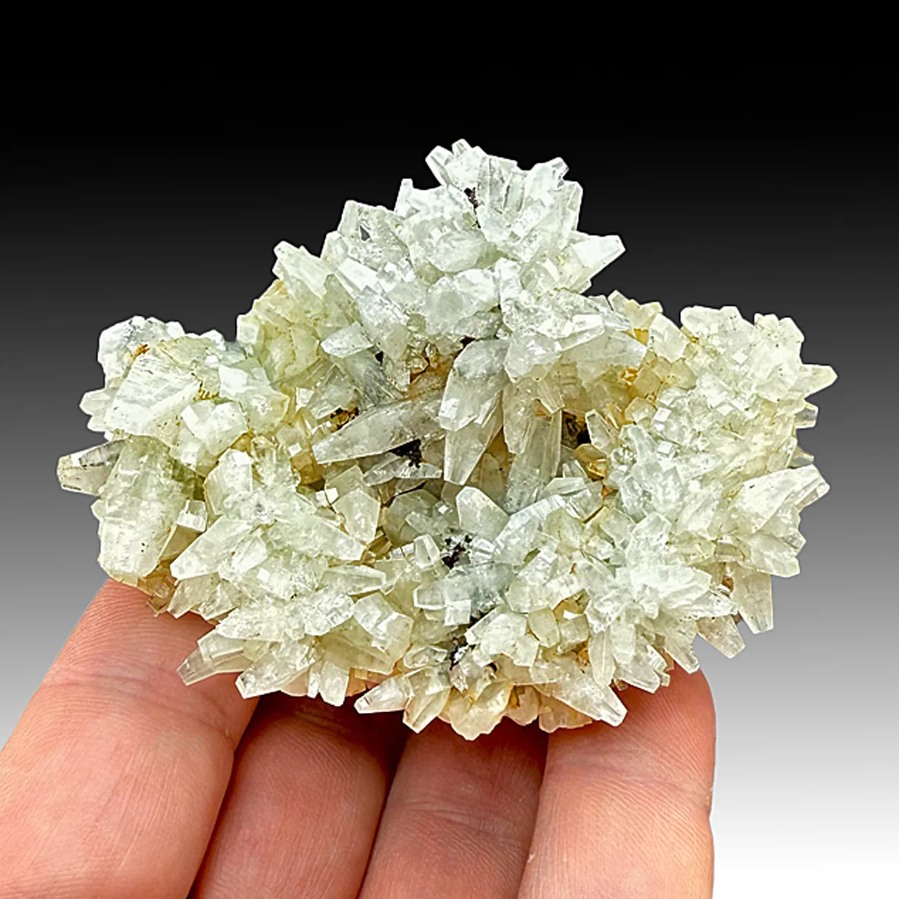 Prehnite (2162) - image 1