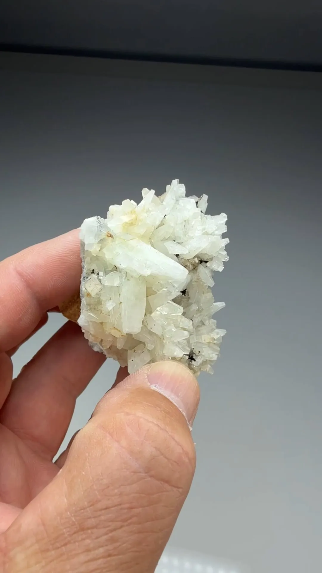 Prehnite (2162) - image 2