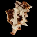 Prehnite - image 2