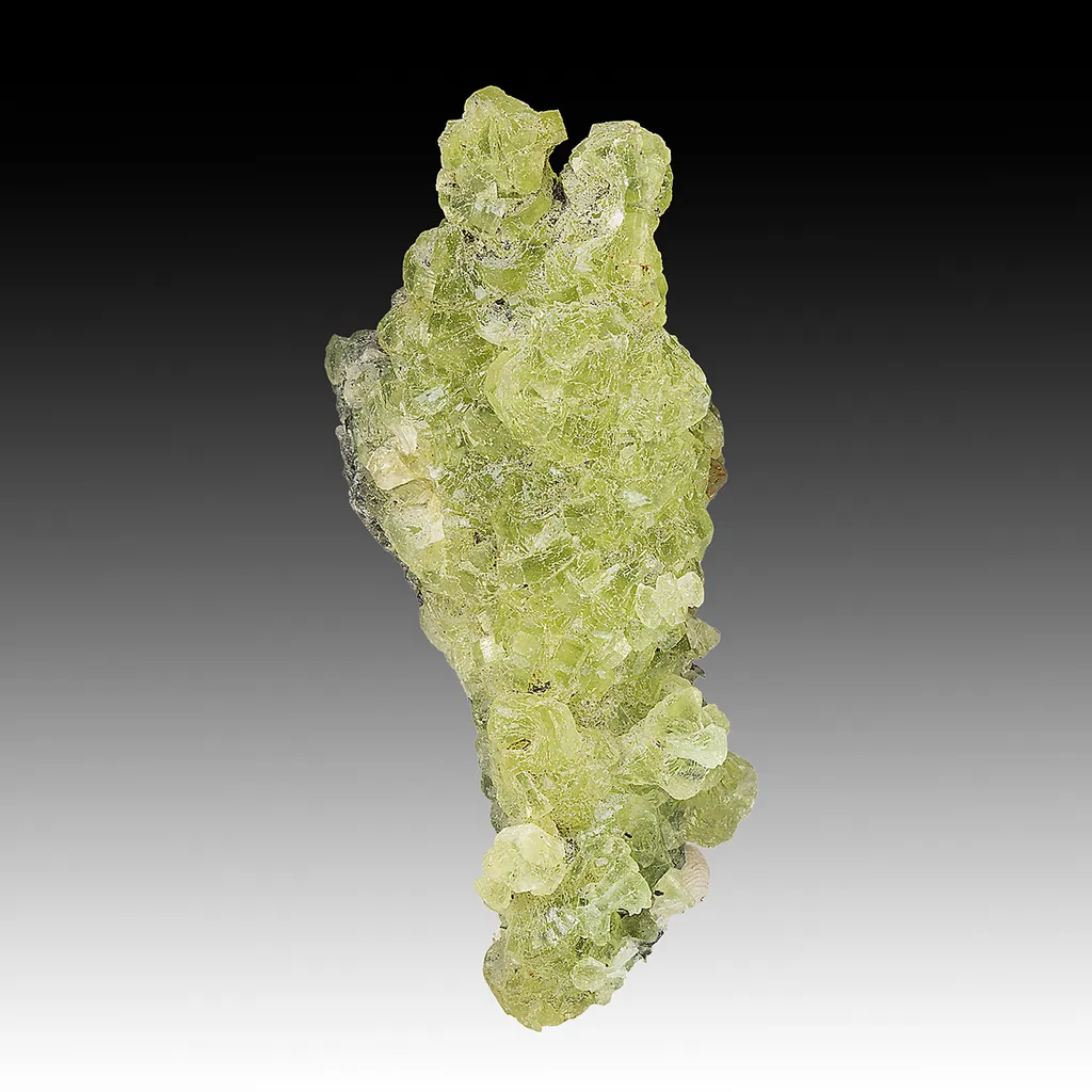 Prehnite image