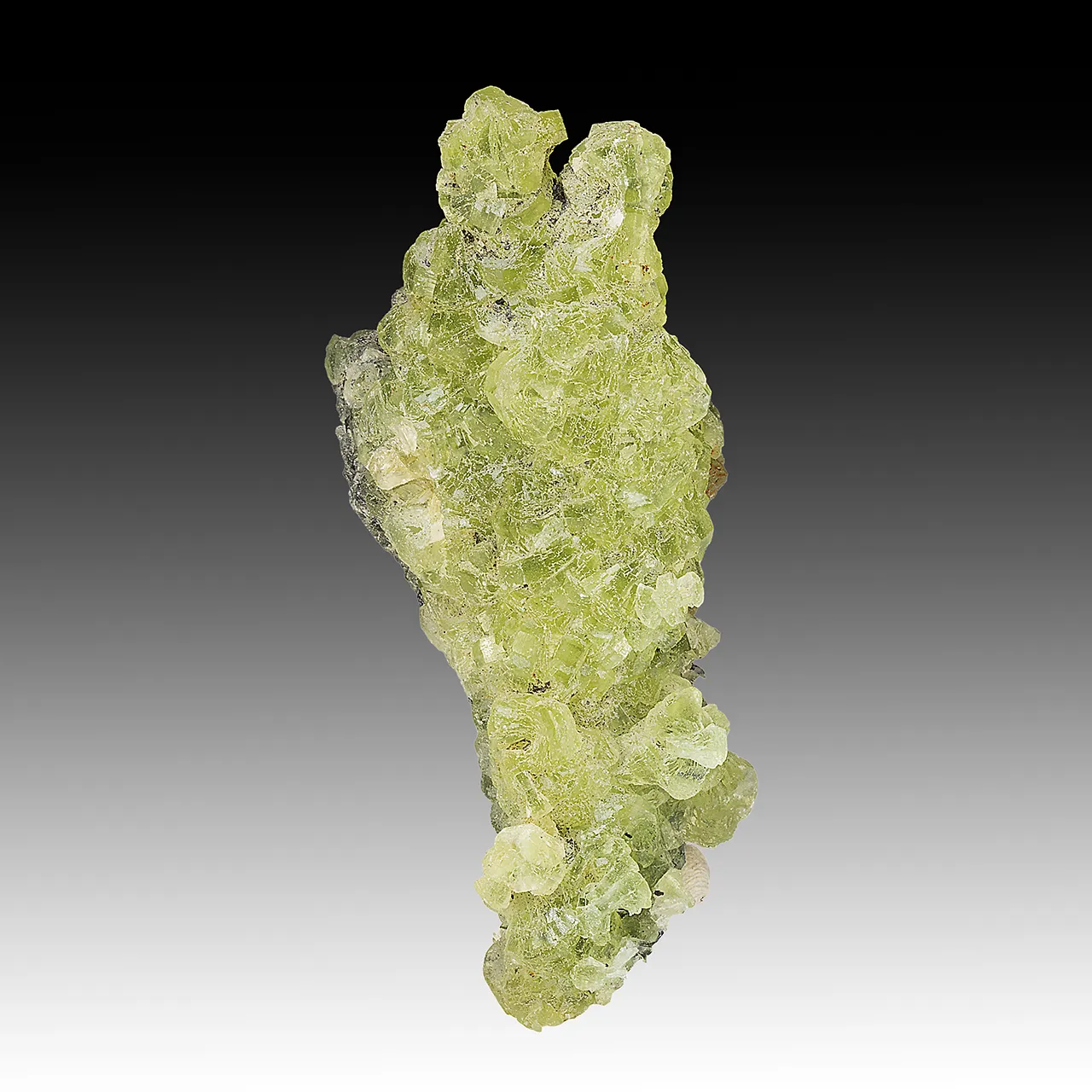 Prehnite - image 1