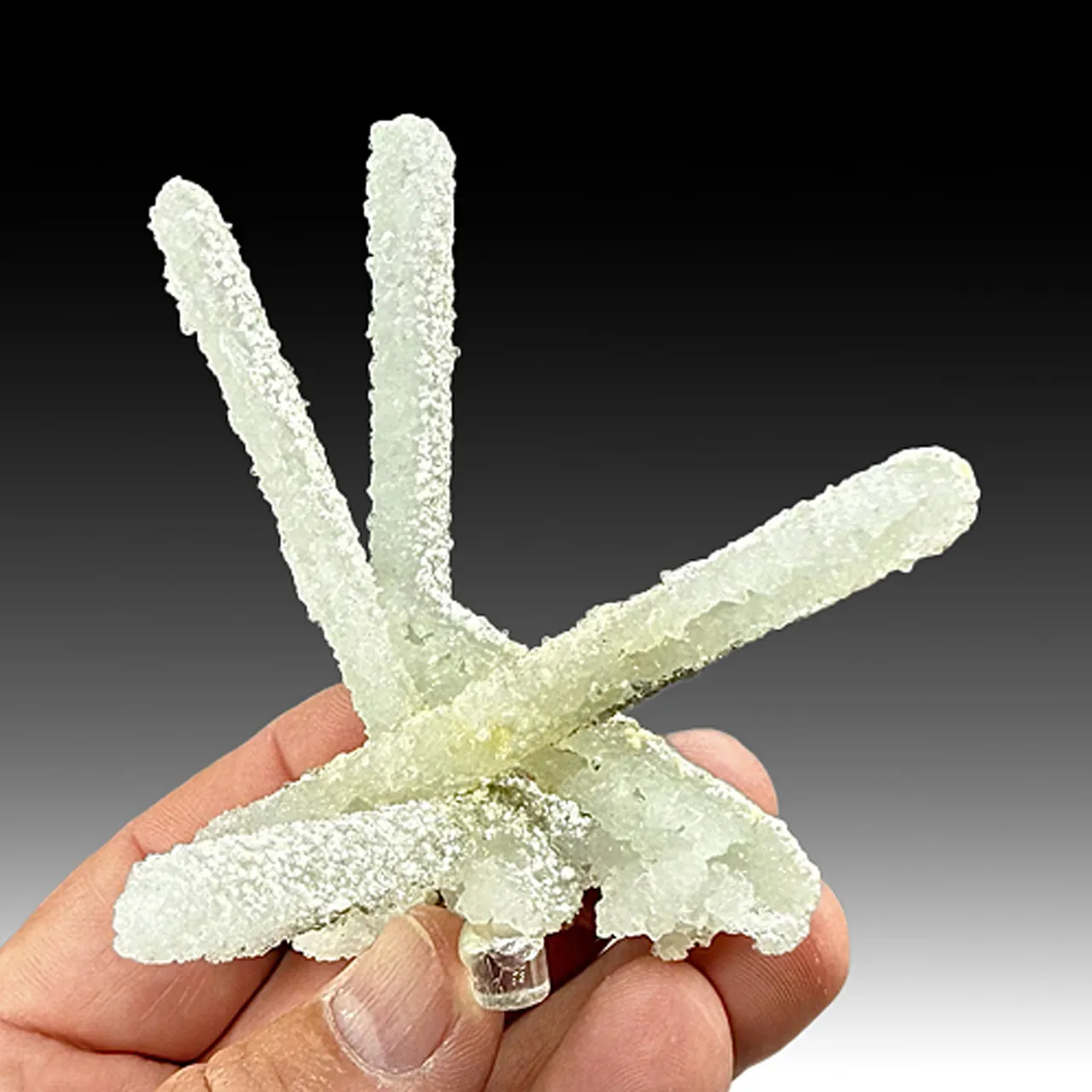 Prehnite after Laumontite (2149) - image 1