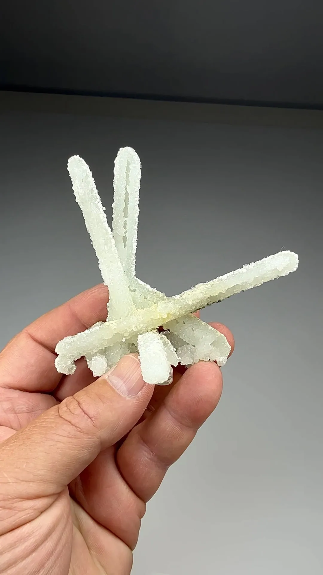 Prehnite after Laumontite (2149) - image 2