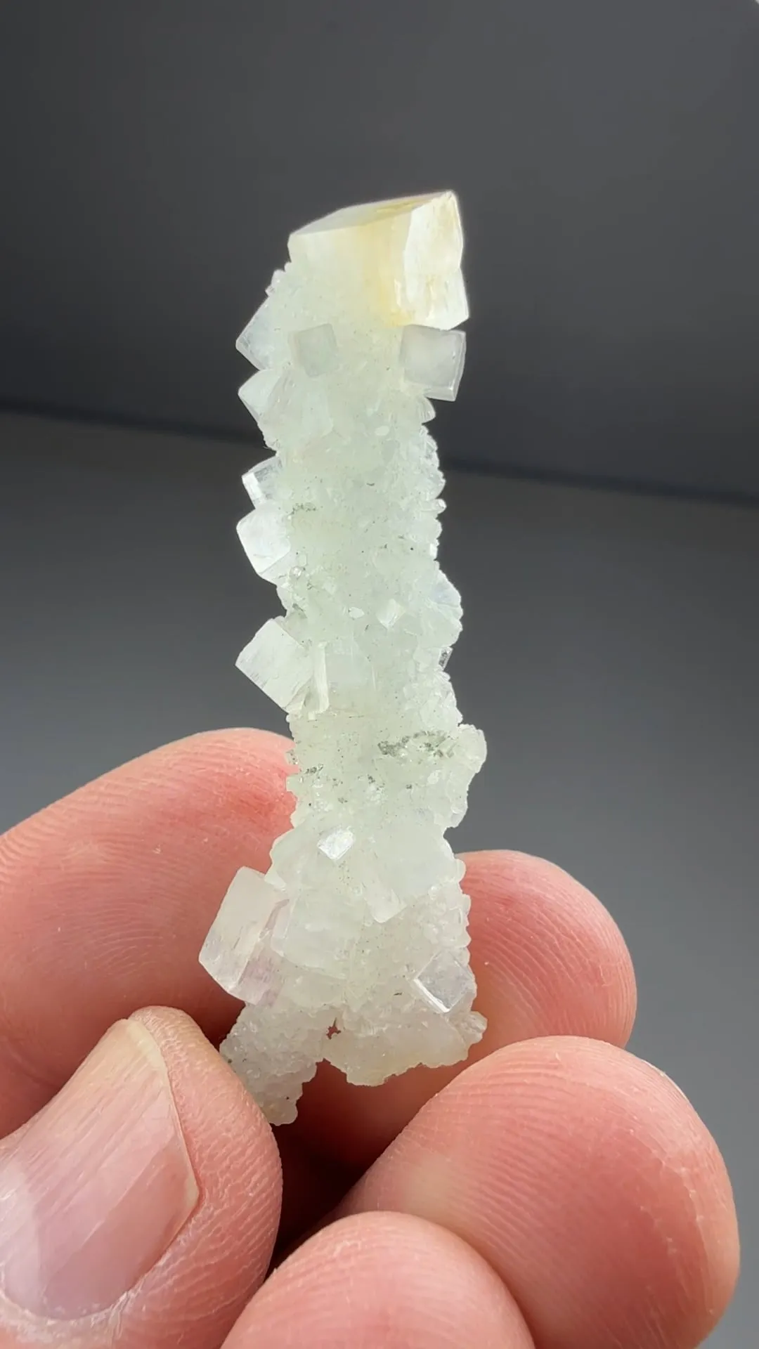 Prehnite after Laumontite with Fluorapophyllite-K (720) - image 2