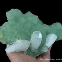 Prehnite and Quartz - image 4