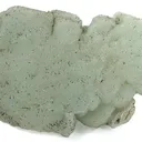 Prehnite Cast After Anhydrite - image 2