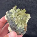Prehnite from Imilchil, Imilchil Caïdat, Imilchil Cercle, Midelt Province, Drâa-Tafilalet Region, Morocco - image 2
