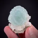 Prehnite on Calcite - image 1