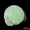 Prehnite on Epidote - image 4