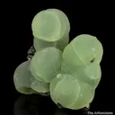 Prehnite on Epidote - image 2