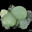 Prehnite on Epidote - image 2