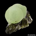 Prehnite on Epidote - image 3