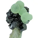 Prehnite on Epidote - image 1