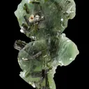 Prehnite on Epidote - image 6