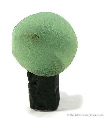 Prehnite on Epidote - image 2