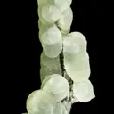 Prehnite on Epidote - image 4