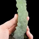 Prehnite on Epidote - image 7