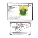 Prehnite on Grossular var. Tsavorite - image 5