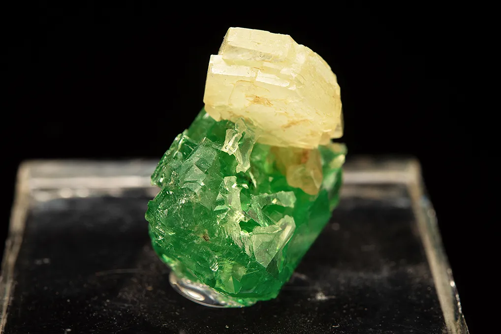 Prehnite on Grossular var. Tsavorite - image 3