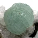 Prehnite on Quartz - image 2