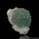 Prehnite on Quartz - image 5
