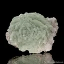 Prehnite on Quartz - image 4