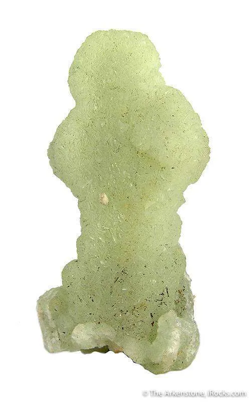 Prehnite Pseudo After Anhydrite "Snakehead" - image 1