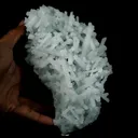 Prehnite Pseudomorphed Rare Find Natural Mineral Specimen - image 4