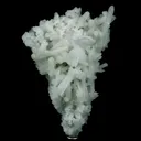 Prehnite Pseudomorphed Rare Find Natural Mineral Specimen - image 1