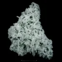 Prehnite Pseudomorphed Rare Find Natural Mineral Specimen - image 1