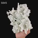 Prehnite Rare Find Natural Mineral Specimen - image 6