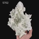 Prehnite Rare Find Natural Mineral Specimen - image 6