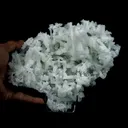 Prehnite Rare Find Natural Mineral Specimen - image 4