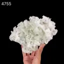 Prehnite Rare Find Natural Mineral Specimen - image 8