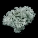 Prehnite Rare Find Natural Mineral Specimen - image 1