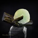 Prehnite sur Epidote - image 2