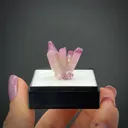 Prehnite var. Manganoan - image 2