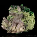 Prehnite (var. Manganoan) with Grossular Garnet - image 3