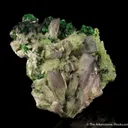 Prehnite (var. Manganoan) with Grossular Garnet - image 4