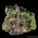 Prehnite (var. Manganoan) with Grossular Garnet - image 1