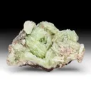 Prehnite with Actinolite, Ferroactinolite - image 1