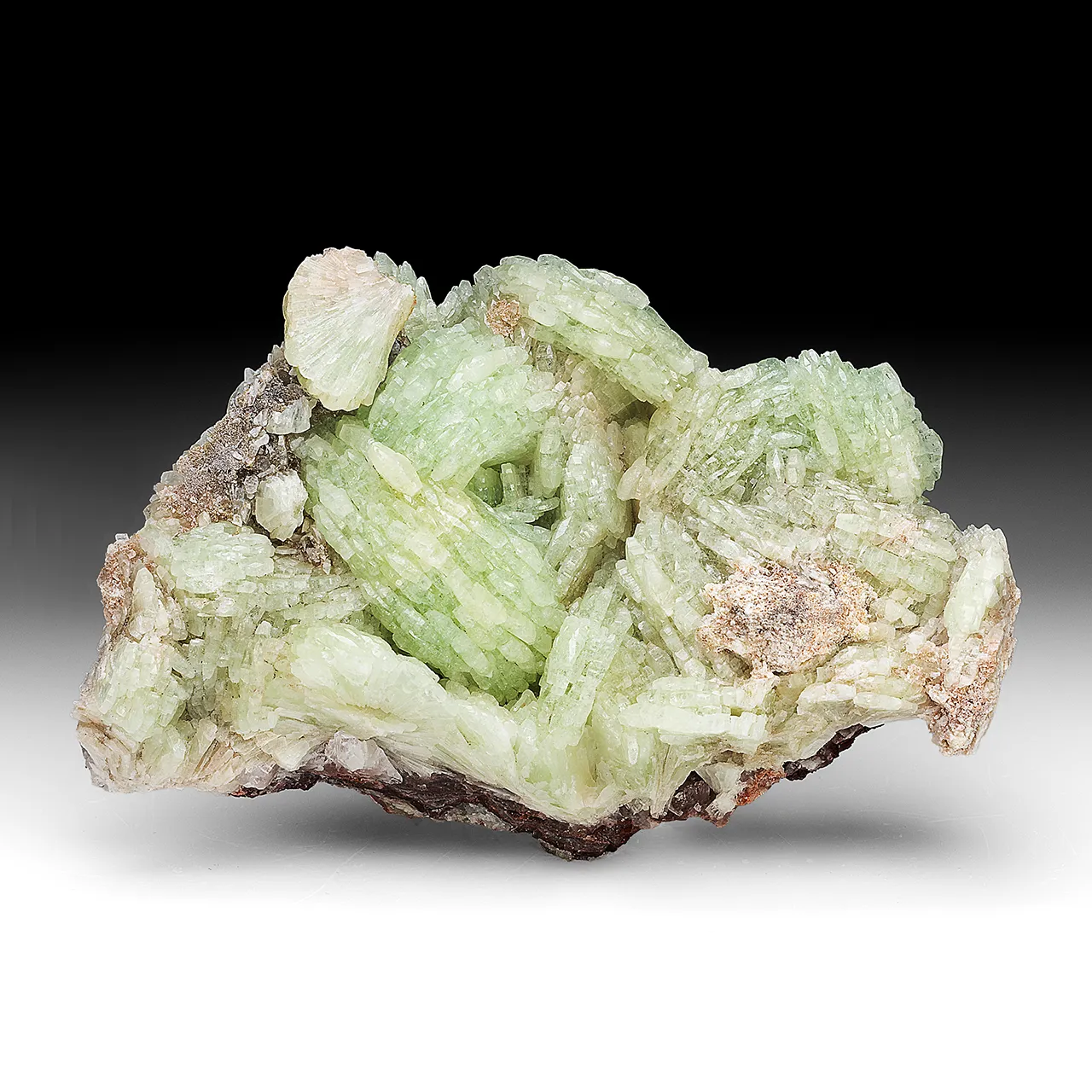 Prehnite with Actinolite, Ferroactinolite - image 1