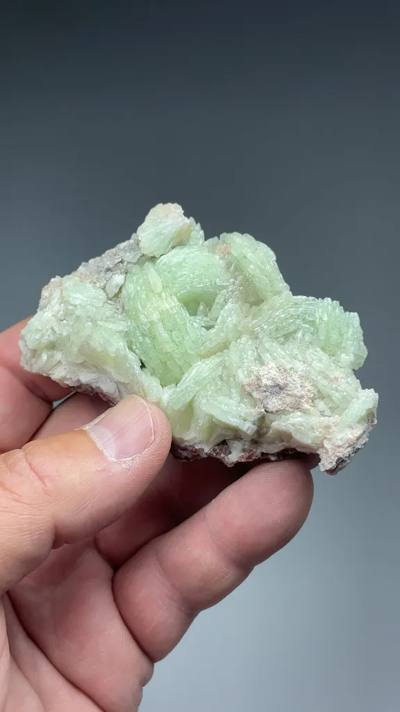 Prehnite with Actinolite, Ferroactinolite - image 2
