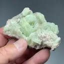 Prehnite with Actinolite, Ferroactinolite - image 2