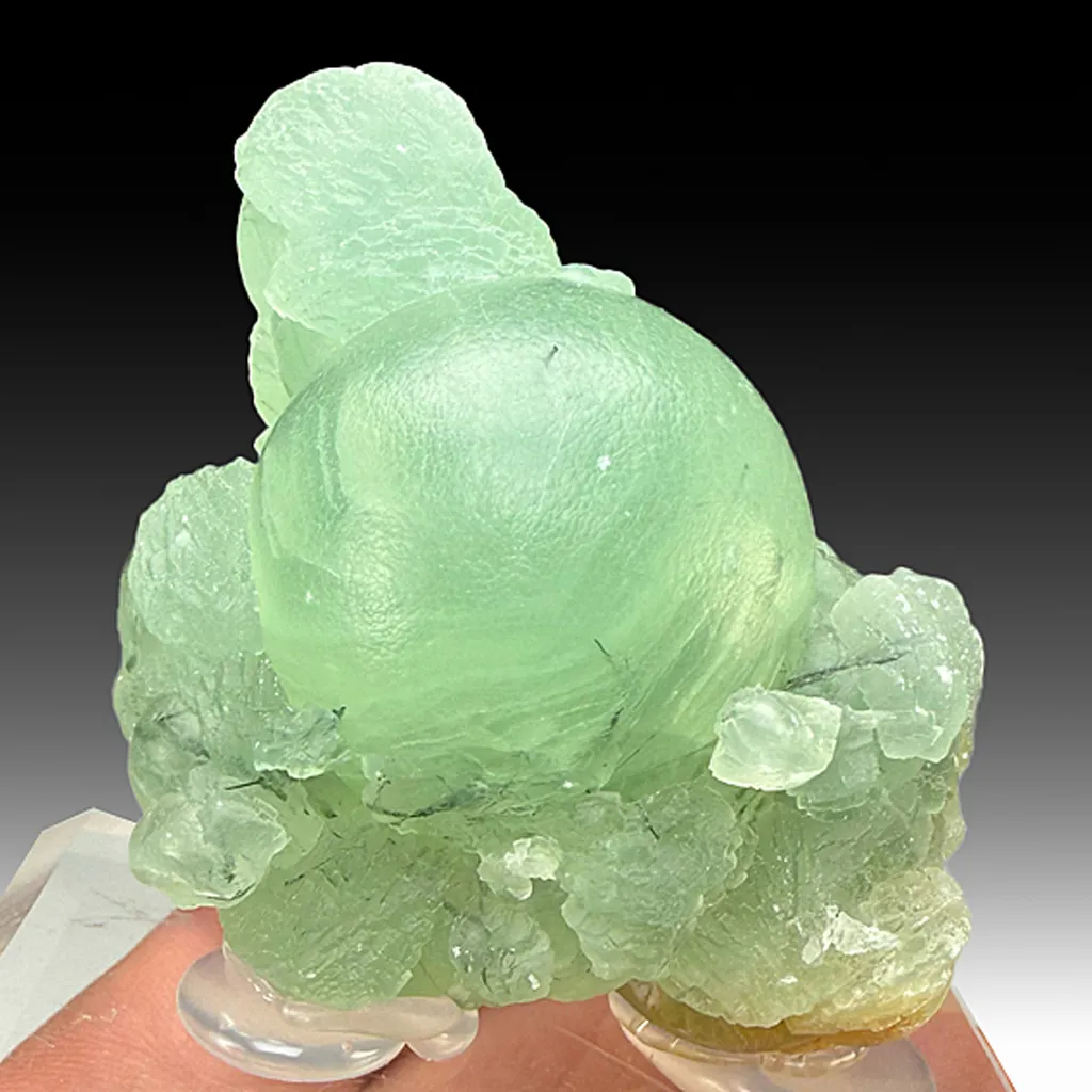 Prehnite with Amphibole (1574) image