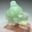 Prehnite with Amphibole (1574) - image 2