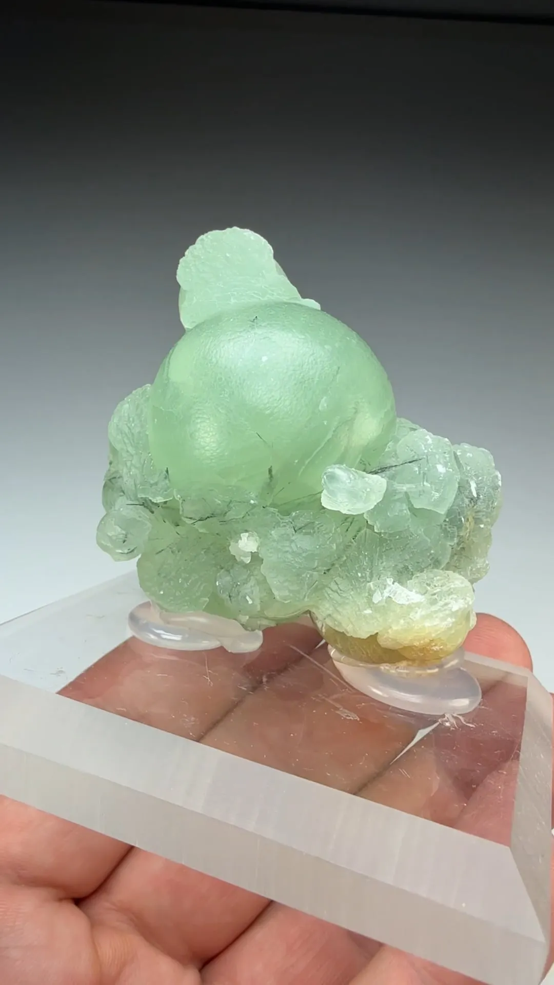 Prehnite with Amphibole (1574) - image 2