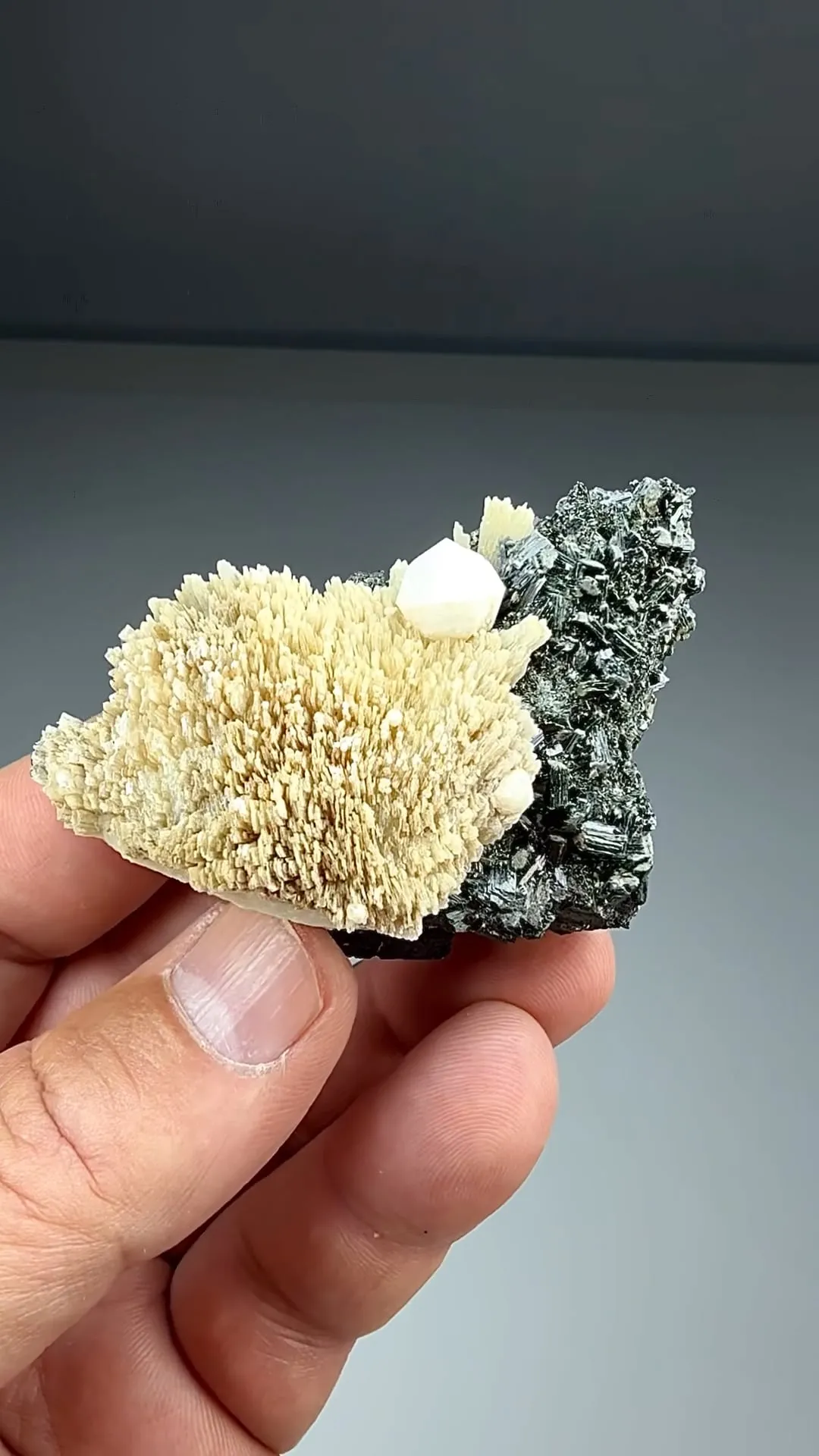 Prehnite with Analcime, Ferroactinolite (2226) - image 2